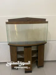  3 حوض سمك زجاجي مع طاولة زجاجية