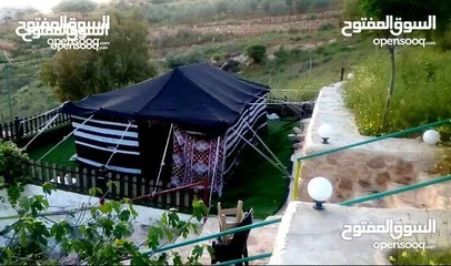  15 خيم شعر تراثيه