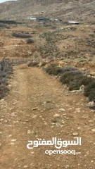  3 ارض مميزه للبيع في منطقة النصاريه  تصلح لبناء شليه سباحي