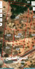  11 قطع سكنيه (سكن ج ) منطقه(عين جنا/ عجلون) وسط البلد،مرتفعه واطلاله جميلة على القلعة واصل جميع الخدمات