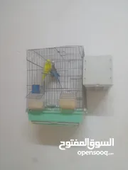  4 عصافير جنه 20 جوزه مكينة إنتاج مشالله  جوزين حب منتج
