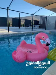  17 اوليفز هل فارم olives hill farm مزرعة فخمة للايجار