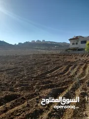  2 ارض للبيع صالحه للسكن