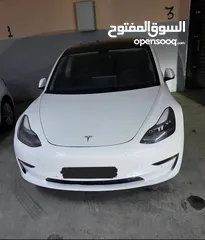  6 Tesla 3 autoscore(B)