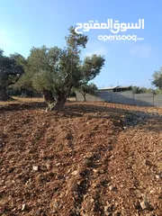  4 ارض للبيع في كوبر