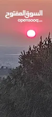  2 قطعة ارض مطلة عالساحل المحتل