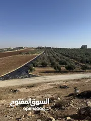  4 أرض سكنية تنظيم أ على شارعين من المالك مباشرة في أجمل مناطق حسبان وبأقل سعر مزروعة زيتون معمِّر