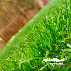  9 جدد ديكور منزلك مع حلول Greens المتكاملة للمساحات الخضراء الداخلية والخارجية!