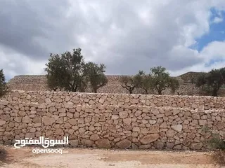  15 استصلاح اراضي بناء سلاسل تشييك مزارع بناء بيوت ريفيه تصميم مسابح بناء شاليهات تنفيذ جميع التعهدات