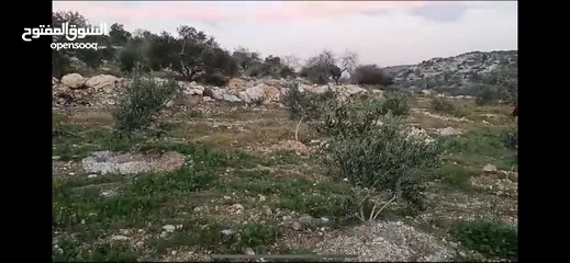  2 نمر600/800/760/1050 متر مربع