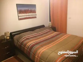  1 شقة مرتبة مفروشة للايجار