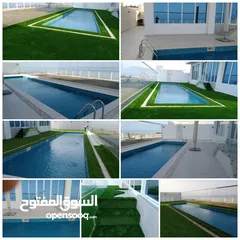  1 artificial grass ,high quality , best prices  variety of grass thickness starts of 10mm upto 50mm