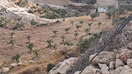  7 أرض في بيت كاحل مطلة على واد القف  شارع هيكلي لها من واد القف عرض 8 متر وشارع عرض 6م من بيت كاحل