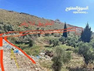  1 ارض في تل / العمدان