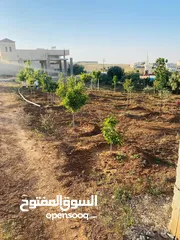  1 دونم أرض مع بناء 90م في منشيه بني حسن