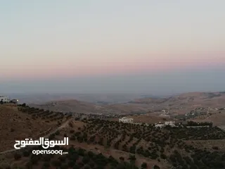  6 أرض للبيع في أم رمانه حوض الدغيليب بالقمة إطلالة خرافيه على عمان