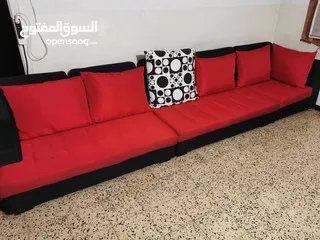  2 تخم (قنفات) ديوان و نص