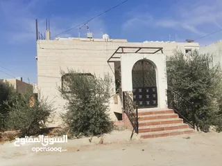  1 منزل مستقل للبيع ف عين الباشا حي الامير علي
