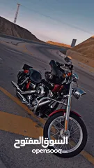  9 Harley Davidson Dyna super Glide Custom 2013