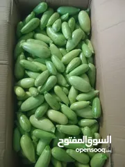  2 للبيع كوسه طازج