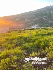  3 3.400 ماحص بعد الميده