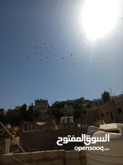  1 حمام كش وزق حمام حلوه للبيع سعر مغري سبب  محتاج مصاري عشان اعيد من الاخر يعني