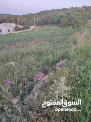  2 قطعة ارض مميزه في عجلون منطقة اشتفينا السياحية