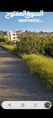  2 ارض للبيع في برهام قرب بيرزيت مساحه 750متر