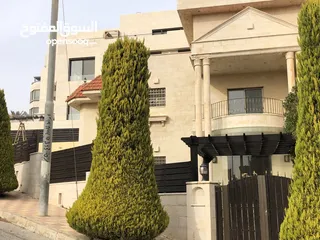  21 فيلا في عبدون للايجار  Villa For Rent At Abdoun