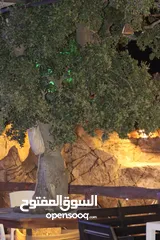  26 شالية رمسيس  Ramesses Chalet وسط اجمل غابات عجلون أطلالة بانورامية