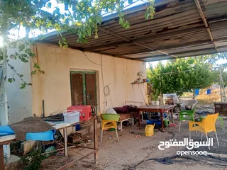  22 بيت مستقل تقريبا مزرعه مشيكه كامله مزروعع عنب وحمضيات مساحه البناء 160م وغرفه خارجيه 40م الواقع احلا