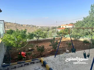  20 شارع الاردن الكمشة العالوك
