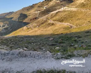  5 نص دنم أرض للبيع مباشرة من المالك بدون أي وسطاء تصنيف B مسموح البناء في أي وقت بدون قيود أو شروط