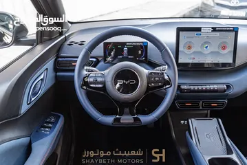  5 Byd Seagull 2024