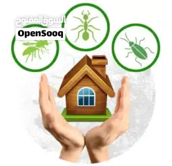  10 البيت الآمن لمكافحة الحشرات