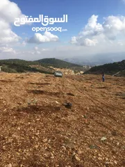  19 فرصة استثمارية! أرض زراعية مميزة بسعر مغري و بالقرب من أحراش الدولة للمزيد من المعلومات اقرأ الوصف