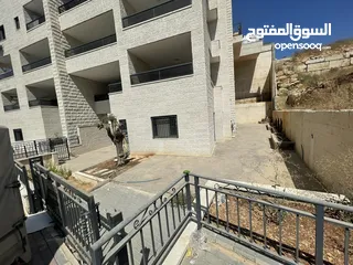  5 مرح صافي بال فايندر