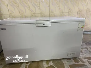  1 مجمدة للبيع