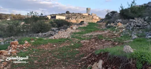  10 800متر طابوا فلسطيني في اجمل موقع بالكفريات واطلالة مميزةمنطقة( b)صالحة للبناء