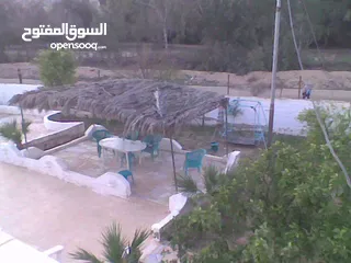  3 بيت للبيع في منطقه الغور