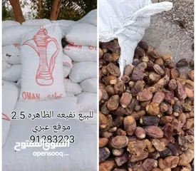  1 نفيعه الظاهره