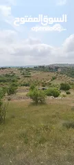  9 مزرعه  صغريه راقيه على قمه جبل مطله للغرب كوشان مستقل بسعر مميز جدا منطقه مزراع راقيه