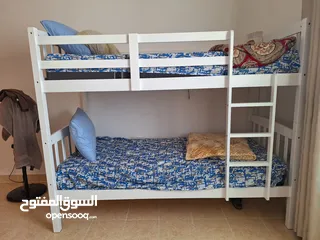  4 One month old bunk beds