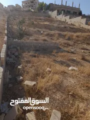  2 قطعة ارض دونم