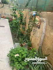  18 من المالك مباشرة --- شقة طابقية (أرضي) للبيع في عمان / ضاحية الأمير حسن/ شارع محمد الشاطبي / قرب مسج