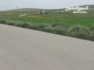  3 للبيع قطعه ارض مساحته 21 دنم المفرق الفدين
