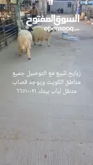  3 قصاب جزار متنقل تحت الطلب +زبايح للبيع