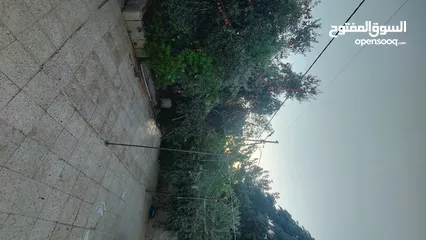  1 منزل للبيع