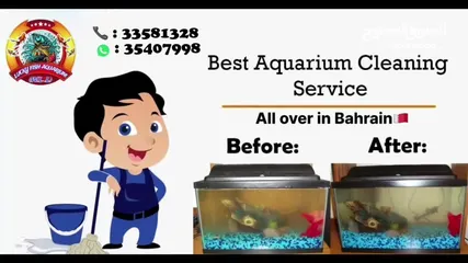  12 Aquarium/Fish Tank Cleaning /Maintanance  Service