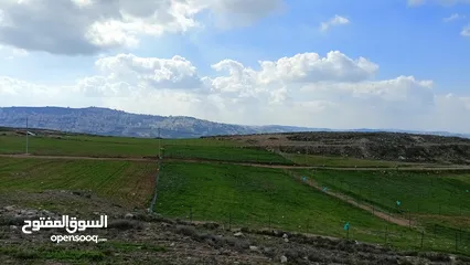  4 5 نمر للبيع في منطقه مستويه جميله